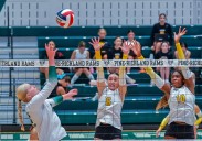 WPIAL girls volleyball playoffs: North Allegheny only returning champion to garner top seed