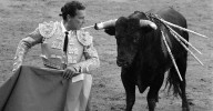 Un año aciago para la tauromaquia