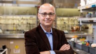 Trio Win Nobel Chemistry Prize for Work on ‘Hermione’s Handbag’ Materials