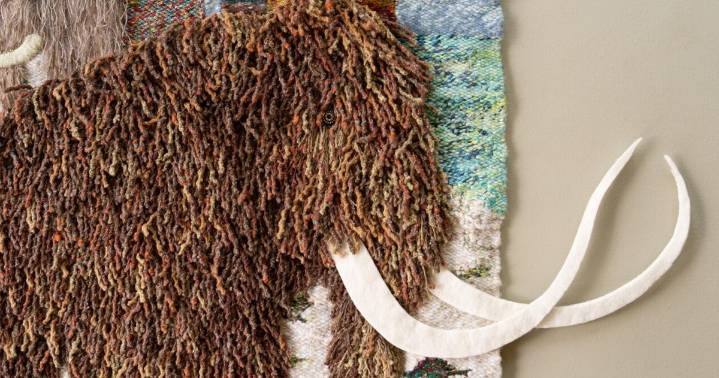 Kelwood Contemporary Art opens 'Fiber Speaks' on Nov. 1