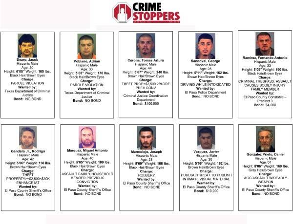 Los más buscados de la semana