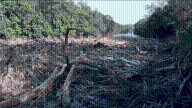 Salina approves additional $750,000 to remove log jam amid late summer storms