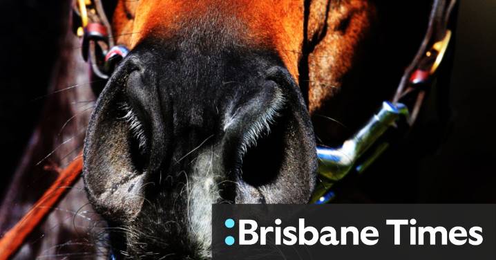 Tips and race-by-race guide for Coonabarabran on Sunday