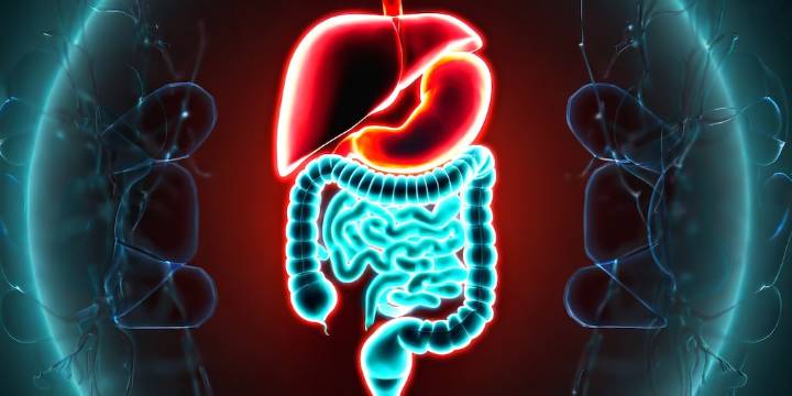 La ciencia revela qué alimentos ayudan realmente a combatir la constipación