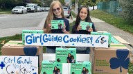 BC Girl Guides warn of cookie scams on Vancouver Island