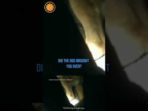 Dog leads officer to his missing owner #shorts