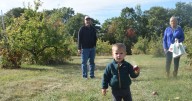Through variable weather, apple-picking season starting strong at pair of Belmont orchards