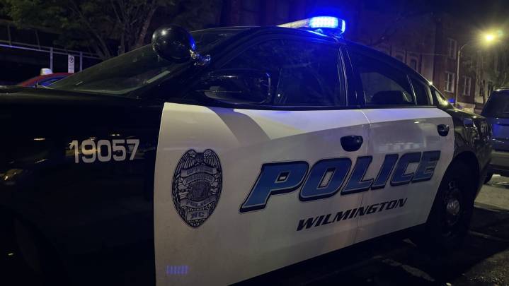 Wilmington police are investigating a pedestrian fatality