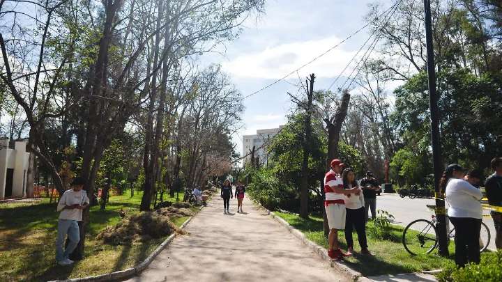 Reforestan el parque de Morales con apoyo de Grupo Bimbo y Reforestamos México