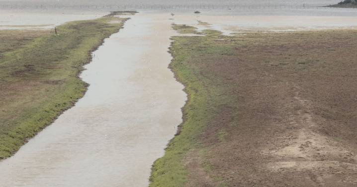 Tras las lluvias, las presas de Sonora superan el 35% de almacenamiento