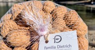 Centenario está de aniversario: «Familia Dietrich», la raíz chacarera que resiste 