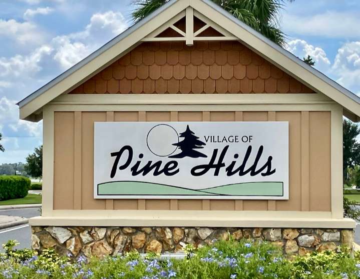 Village of Pine Hills resident arrested on 17 counts of child pornography