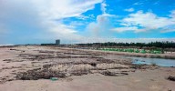 Toneladas de palizada y basura llegan a Playa Miramar tras creciente del Pánuco