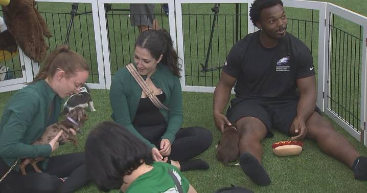 Philadelphia Eagles host puppy yoga event to spotlight cancer awareness