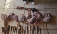 Golpe a cazadores furtivos: secuestran armas y carne de ñandú lista para vender