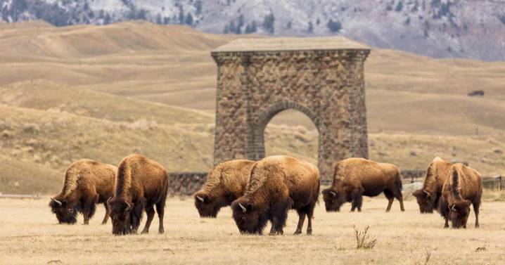 Wyoming to feel impacts of federal government shutdown