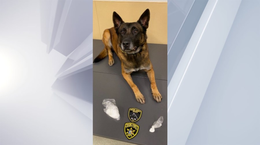 Catskill man accused of having over 2 oz of cocaine