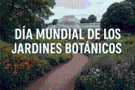 El mundo celebra el Día Mundial de los Jardines Botánicos: guardianes de la biodiversidad y la educación ambiental