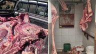 Decomisaron 4 mil kilos de carne proveniente de la faena clandestina y clausuran…