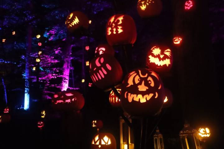 Leaf peeping, jack-o'-lanterns and other fall fun in Appalachia and the Mid
