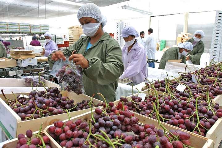 Mincetur: las exportaciones peruanas alcanzaron en agosto pasado valor histórico