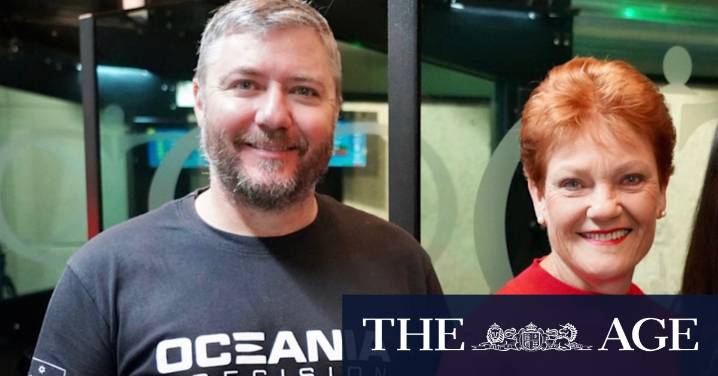 Pauline Hanson's One Nation: NSW Nationals members defect over renewables policy
