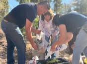 Invitan al taller de composta en el vivero de El Chamizal