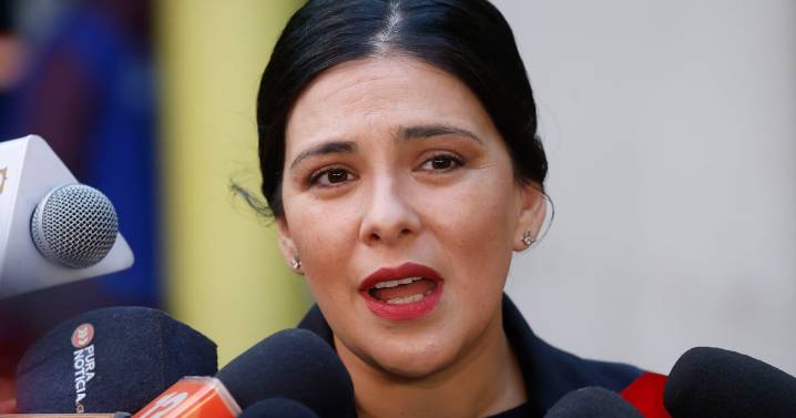 Tras error de cálculo en cuentas de luz: Cariola afirma que advirtieron escenario de cobros excesivos