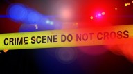 Staten Island murder: Teen beheaded mother’s boyfriend, scooped out brains
