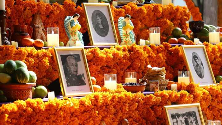 ¿Cuándo Ponen la Mega Ofrenda de Día de Muertos 2025 en el Zócalo CDMX? Esta Fecha la Abren