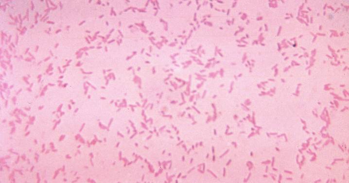 Study: We're losing the war against drug-resistant infections faster than we thought