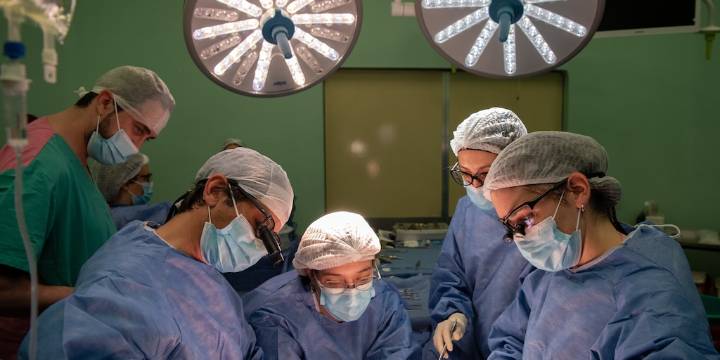 Nuevo hito en el Garrahan: se realizaron cuatro trasplantes de órganos en menos de dos días