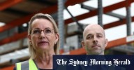 Nature law revamp: Sussan Ley concerned over broad powers for environment minister