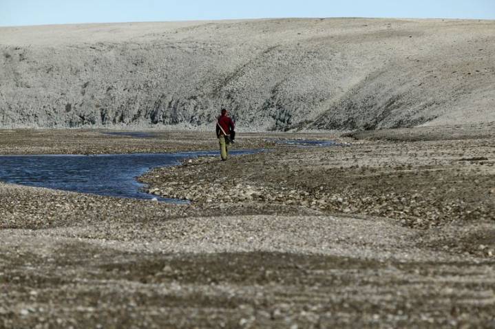 Hornless rhino roamed Canadian High Arctic 23 million years ago