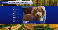 Give us a big "Woof woof" for warm walking weather!