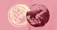 Changing social trends impact Utah women's fertility