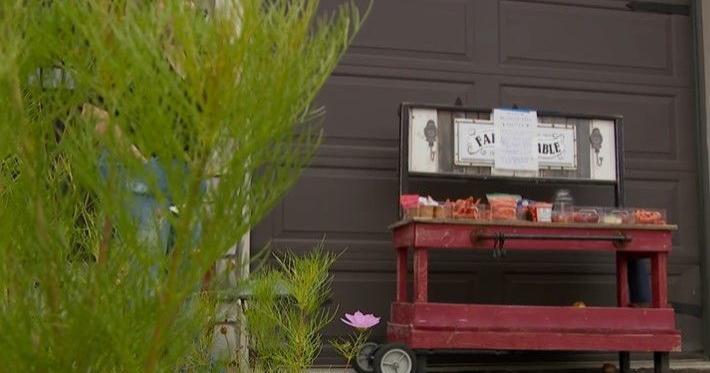 Family turns driveway into free food pantry: "We noticed there was a need"