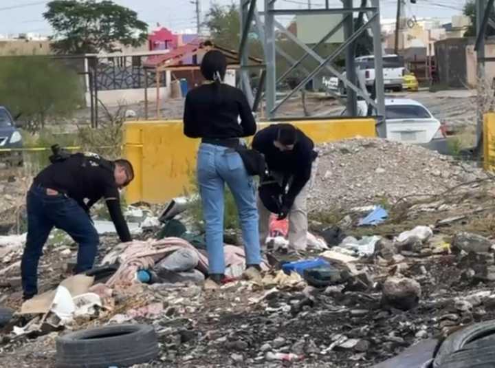 Martes de Basurero