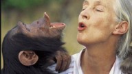 Scientist, Global Activist Jane Goodall Died At 91