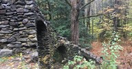Forest Journal: Haunted woods? No, but let your imagination run wild