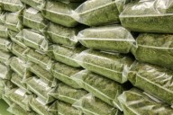 CORRIENTES! La ruta imparable de la marihuana paraguaya y el temor a convertirse en un nuevo Rosario