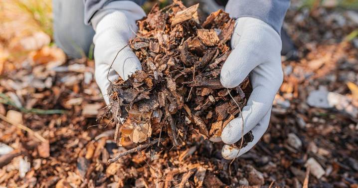 Anyone with a garden warned over six hidden laws including £20k fine