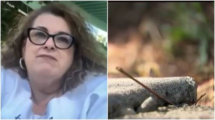 Una maestra de EE.UU. se cayó por una vereda rota, le hizo juicio a la ciudad y ganó US$7,5 millones