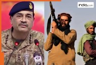 Pakistan and Taliban, once close friends, are now at war due to...