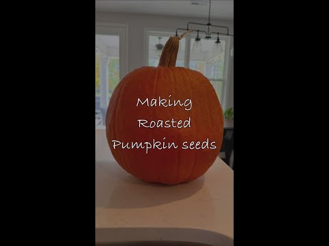Roasted pumpkin seeds