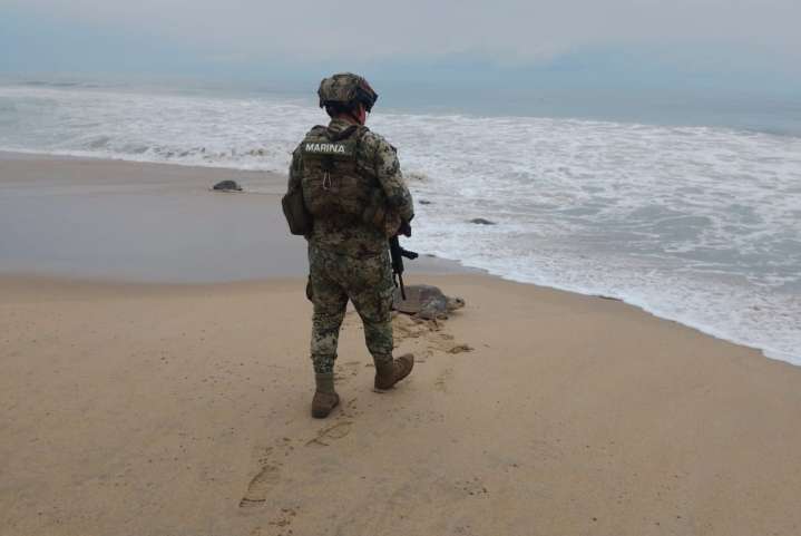Brinda la Marina seguridad durante la quinta arribazón de tortugas marinas en Escobilla, Oaxaca