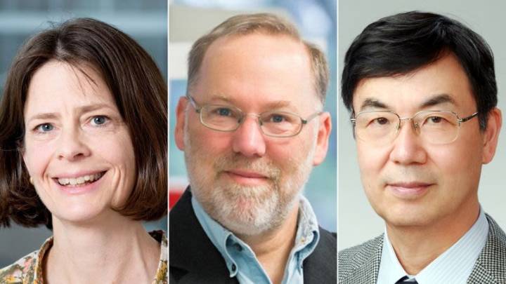Otorgan el Premio Nobel de Medicina a tres científicos por descubrir cómo se mantiene bajo control el sistema inmunológico