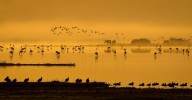 La UICN mantiene la "preocupación significativa" por Doñana