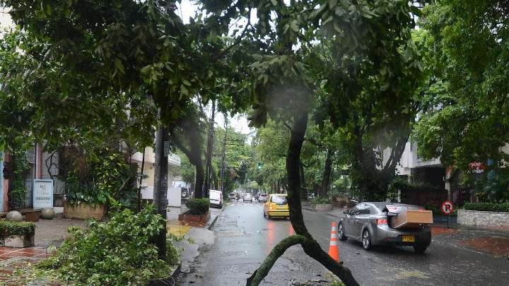 Lluvias en Cali provocan caída de árboles y colapso parcial de un muro en el oriente de la ciudad; este es el reporte