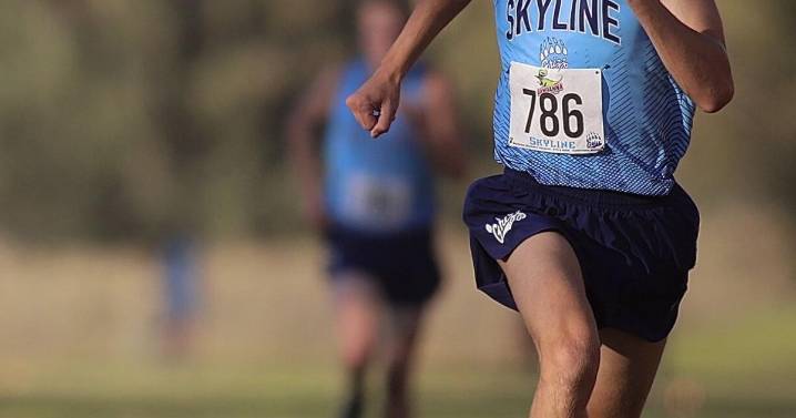 Repeat champions abound at 6A, 5A District XC